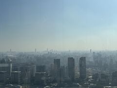 -上海中心大厦