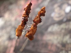 查汶泰式烤鸡肉-炒豆合作社(东四总店)