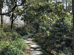 -南山植物园