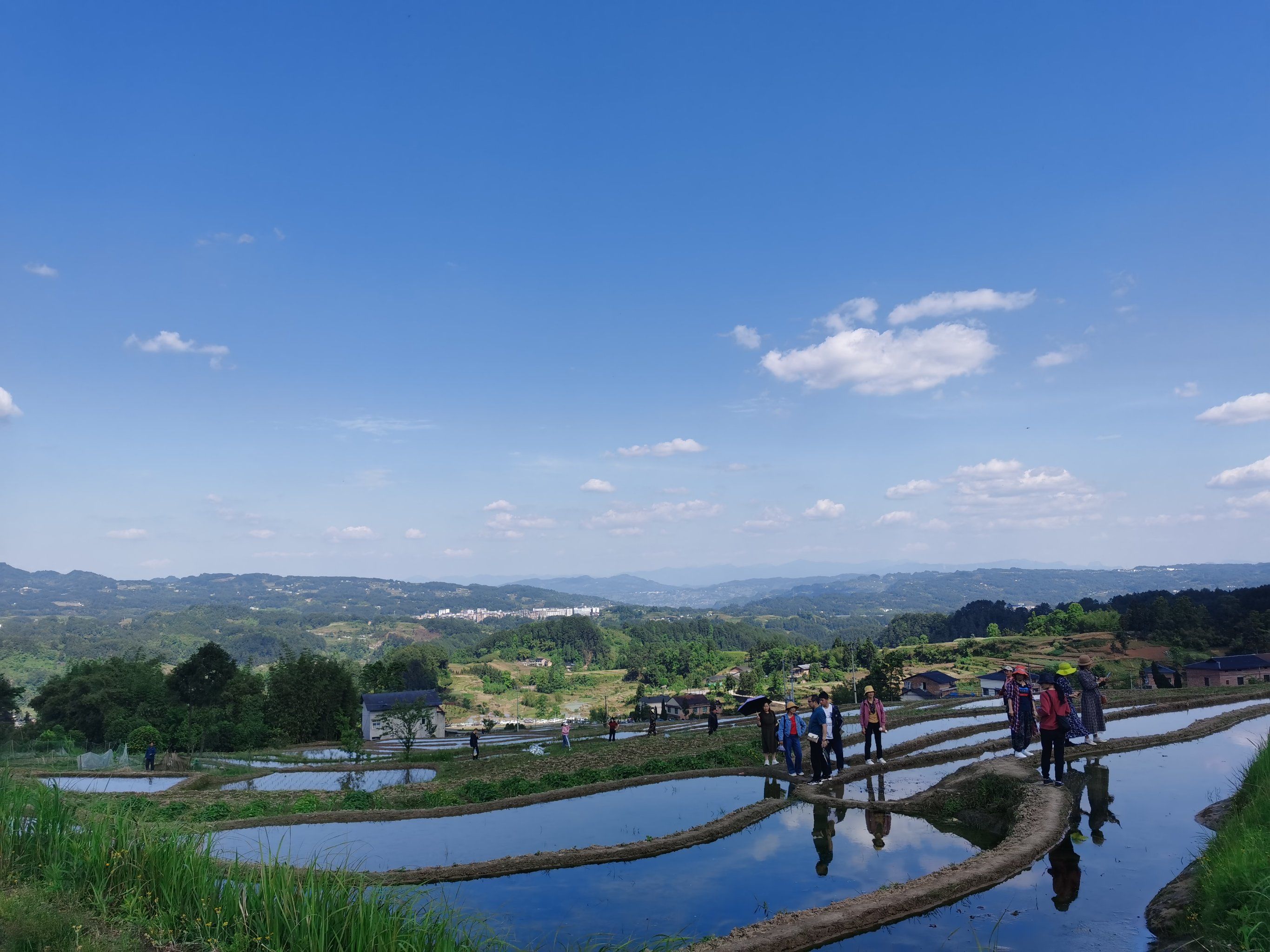 溜娃记之南川盐井梯田
