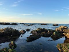 -养马岛旅游度假区