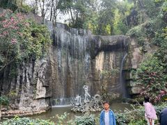 -西双版纳原始森林公园