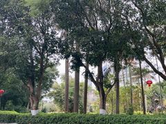 -厦门大学(思明校区)