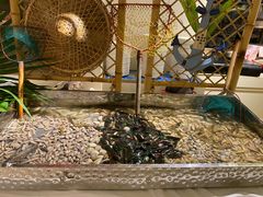 -海口绿发希尔顿酒店-田园汇自助餐·三文鱼·海鲜