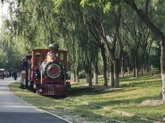 -永定河休闲森林公园