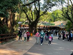 -广州长隆国际大马戏