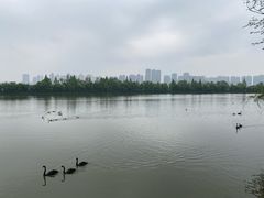-艾溪湖湿地公园