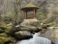 -少华山国家森林公园