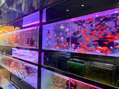 -双季花艺园艺市场(浦东店)