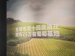 -北京张裕爱斐堡酒庄