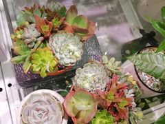 -万达广场(沈阳铁西店)