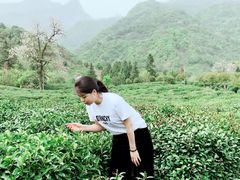 -祁门牯牛降观音堂风景区