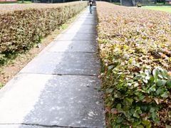 -桂林独秀峰王城景区