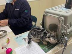 -佳怡动物医院·平价24小时·猫专科骨外科