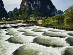 -明仕田园
