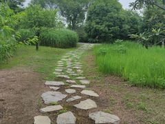 -梁鸿国家湿地公园