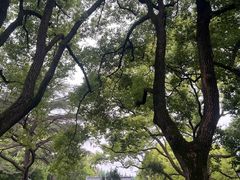 -上海虹桥迎宾馆