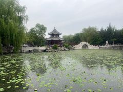 -莲池书院博物馆