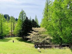 -神户市立六甲山牧场