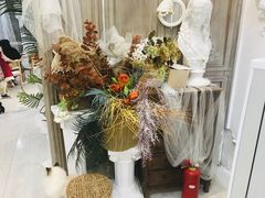 -共舞时光猫咖·狗咖(新街口店)