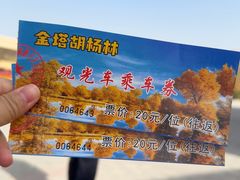 -金塔沙漠胡杨林景区