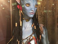 -奥兰多迪士尼动物王国乐园