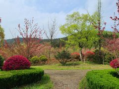 -冶父山国家森林公园
