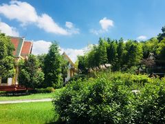 -报恩禅寺