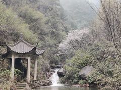 -大奇山国家森林公园