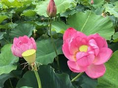 -长安上水缘度假庄园