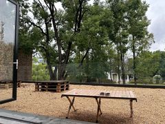 -J Create城市露营咖啡·简餐·宠物(上海动物园店)