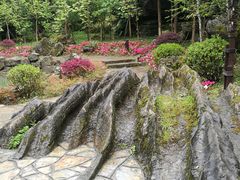 -梭布垭石林景区