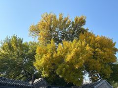 -增盛魁小吃店