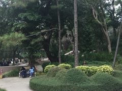 -九龙公园