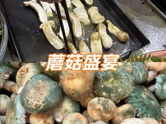 -三锅莊·牦牛肉火锅·香格里拉特色藏餐宴请餐厅(昆明创始店)