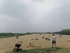 -东郊湿地公园