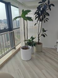 -HEYAN荷妍专业脱毛连锁机构