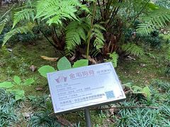 -广州神农草堂中医药博物馆