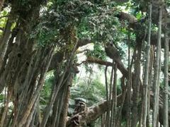 -龙达温泉生态城