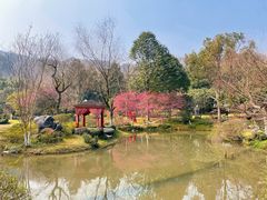 -龙井草堂