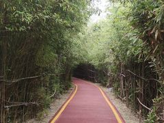 -西安汉城湖景区
