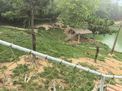 -西霞口神雕山野生动物世界