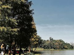 -南宁良凤江国家森林公园