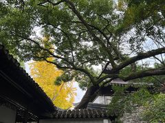 -西园戒幢律寺
