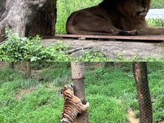 -杭州野生动物世界