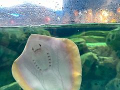 -珠海长隆海洋王国