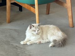 -Northand Coffee(来福士店)