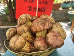 -瑞丰园庭院餐厅·白族传统家常菜