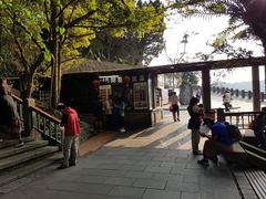 -金盆阿嬷香菇茶叶蛋(玄光店)