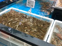 -盒马鲜生(宝地店)
